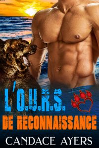 1-RECON BEAR copy – Jane Zmarzly 1-RECON BEAR copy - Jane Zmarzly